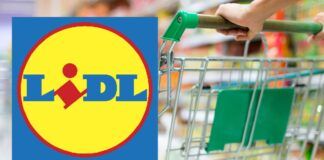 Lidl, oggi è tutto GRATIS con la tecnologia in REGALO