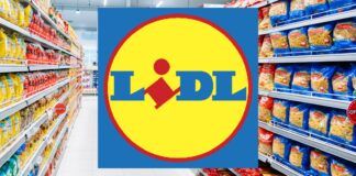 Lidl da PAZZI, tecnologia in regalo GRATIS solo oggi