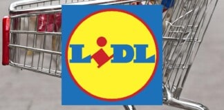 Lidl, tutto è GRATIS per poco tempo, anche la TECNOLOGIA