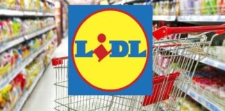 Lidl, SUPER OFFERTA sulla friggitrice ad aria calda 9 in 1