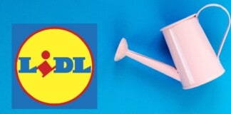 LIDL impazzisce con tecnologia GRATIS e prezzi al 90%