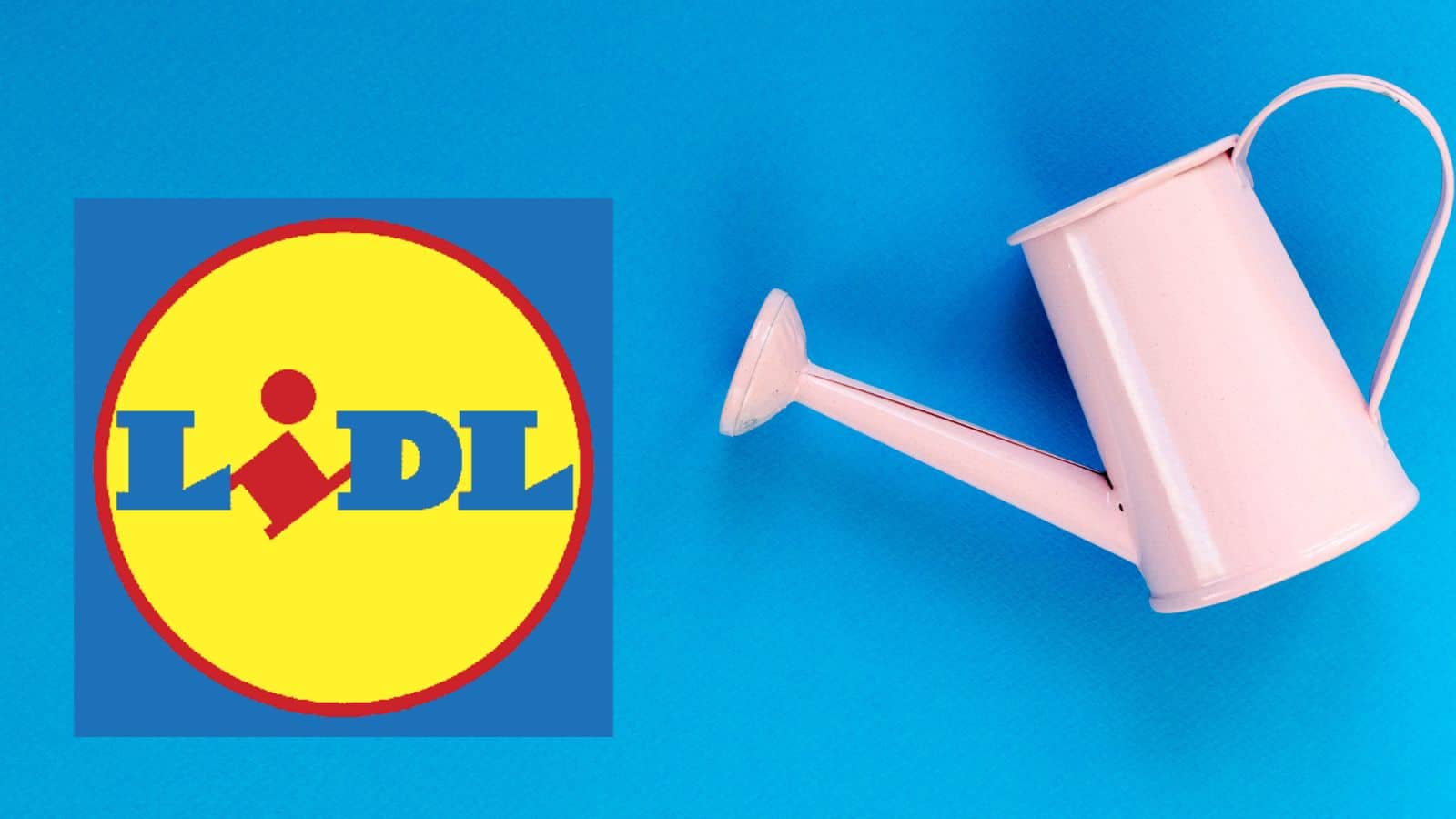 LIDL impazzisce con tecnologia GRATIS e prezzi al 90%