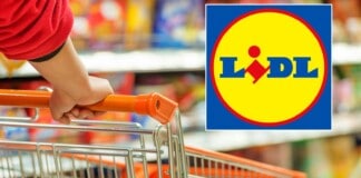 Lidl fa un REGALO a tutti: la tecnologia è GRATIS