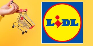 Lidl da SOGNO: solo oggi TECNOLOGIA gratis in esclusiva