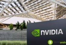 scheda grafica nvidia