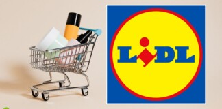 Lidl, volantino di Natale REGALA prodotti e tecnologia GRATIS