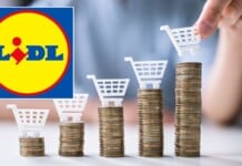 Lidl ASSURDA: REGALA tecnologia e prezzi al 90% solo oggi