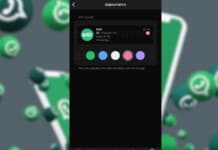 WhatsApp permetterà presto di personalizzare il colore del tema principale.