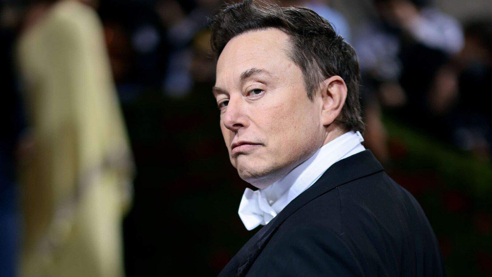 Intelligenza artificiale, Elon Musk è sicuro: ci ruberà il lavoro