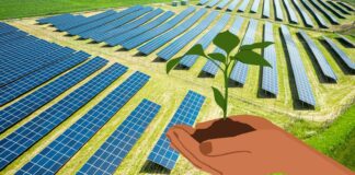 Decreto agricoltura e fotovoltaico: raggiunto accordo per la tutela del territorio