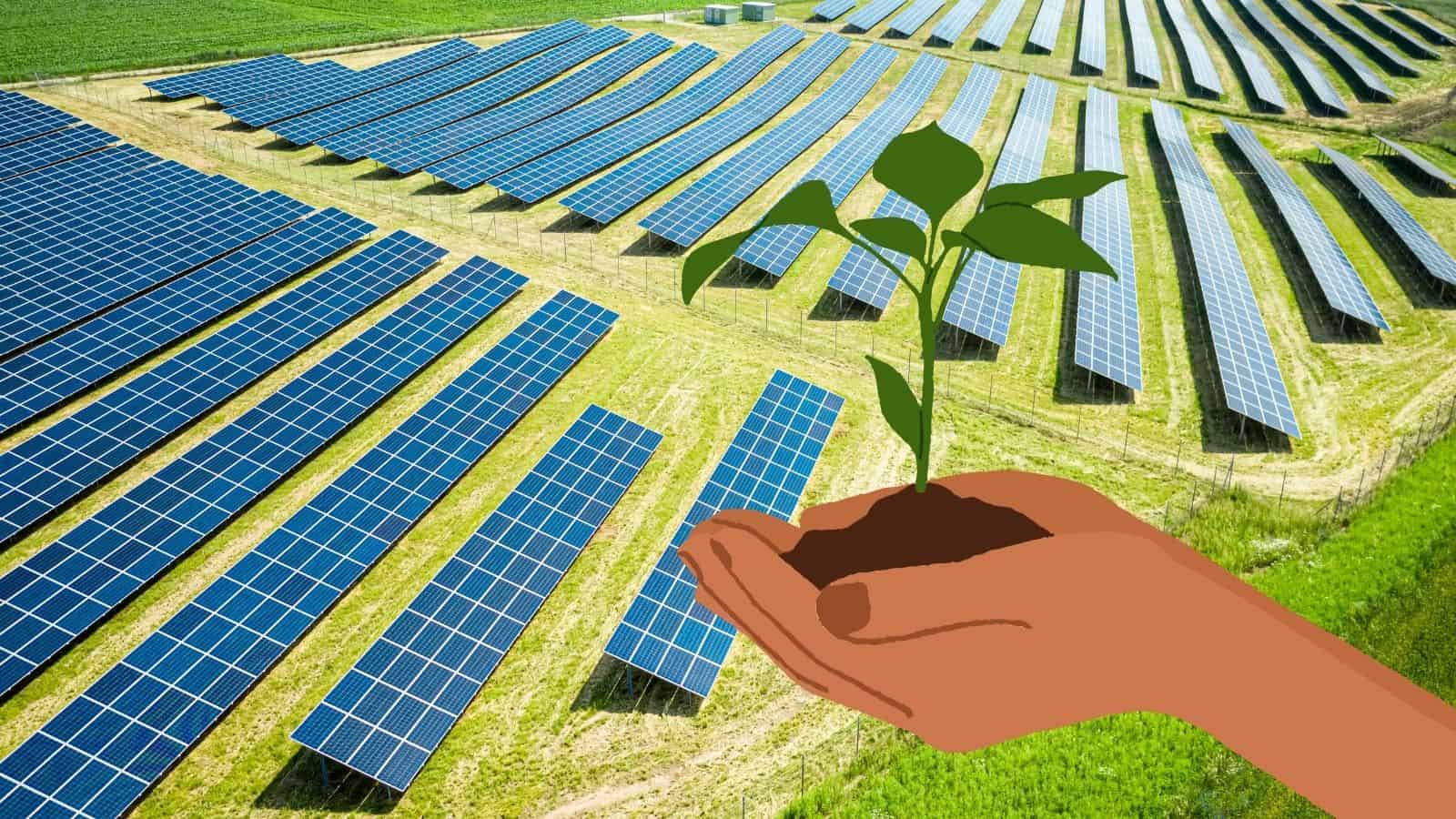 Decreto agricoltura e fotovoltaico: raggiunto accordo per la tutela del territorio