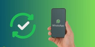 WhatsApp: in arrivo in Beta una nuova funzione e un fix