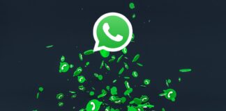 WhatsApp: con un nuovo aggiornamento si può cambiare colore