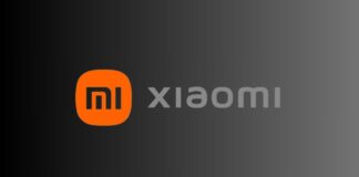 Xiaomi 15: quanti saranno i prossimi flagship?