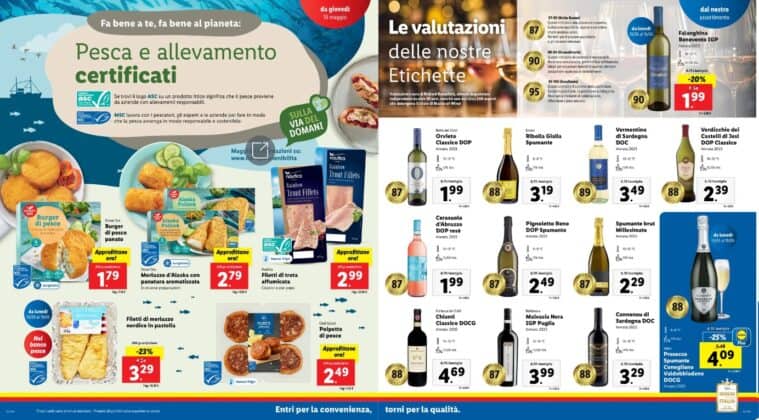 volantino lidl