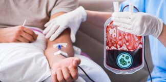 Le trasfusioni di sangue stanno per avere una rivoluzione inaspettata grazie ai batteri intestinali