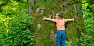 Ripristino della natura: dopo la legge, il MASE stila il Piano nazionale