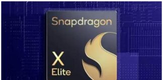 Snapdragon