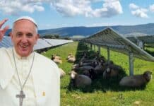 Papa Francesco sceglie l'Agrivoltaico per l'energia della Santa Sede