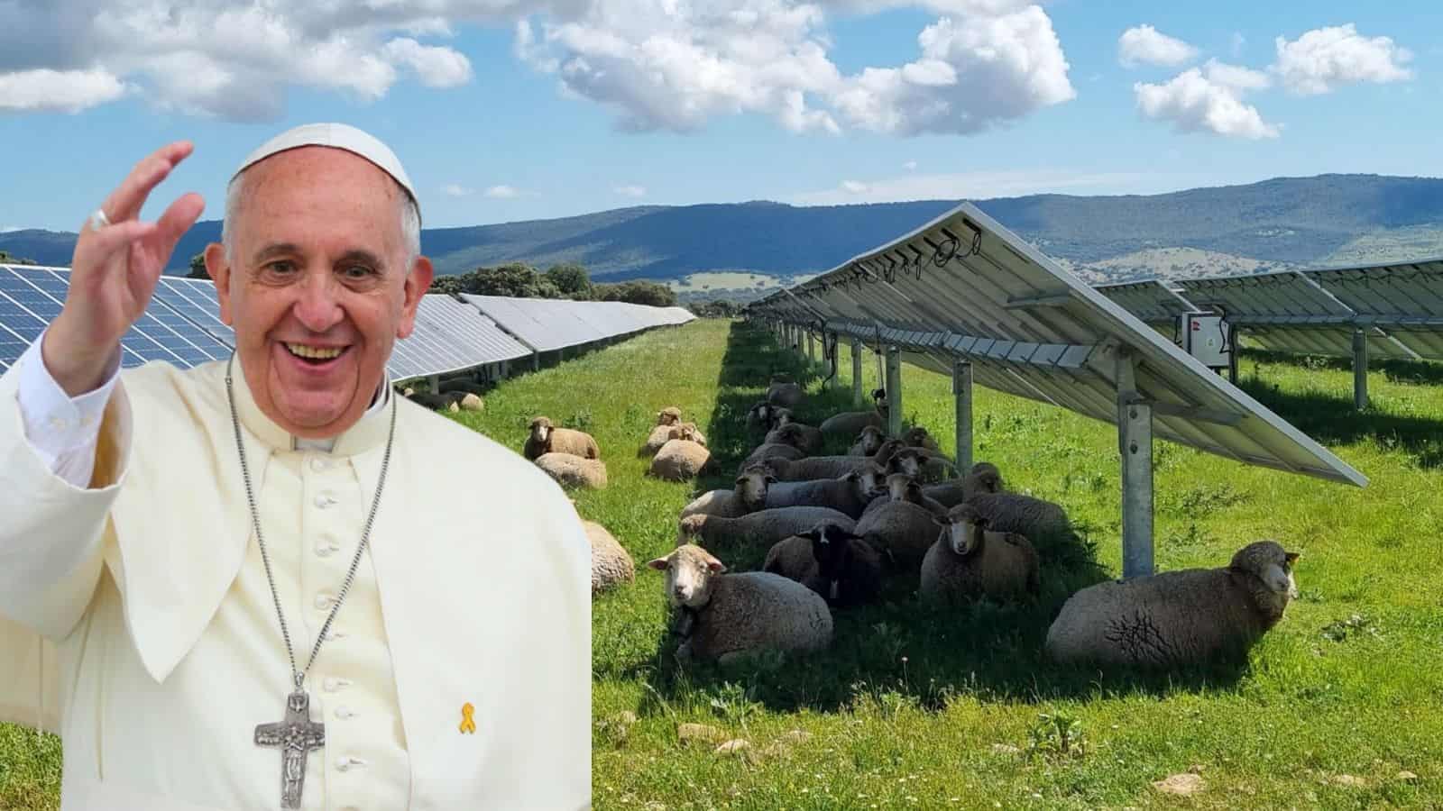 Papa Francesco sceglie l'Agrivoltaico per l'energia della Santa Sede