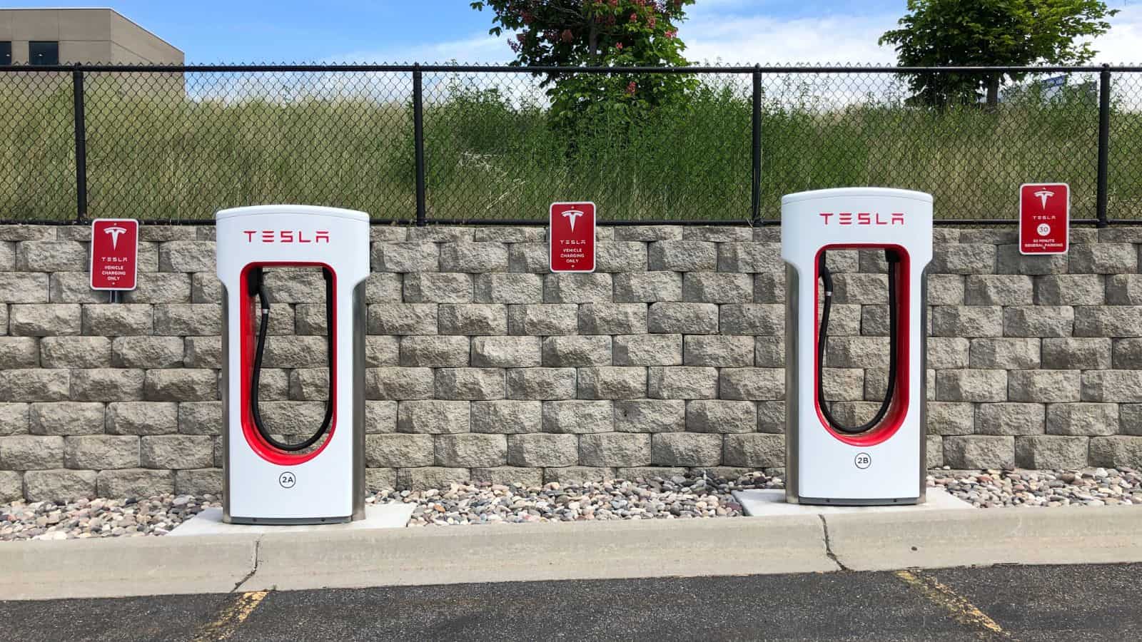 Tesla: il calo della Model Y anticipa il lancio del modello Juniper?