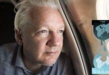 Il fondatore di Wikileaks torna libero dopo il carcere