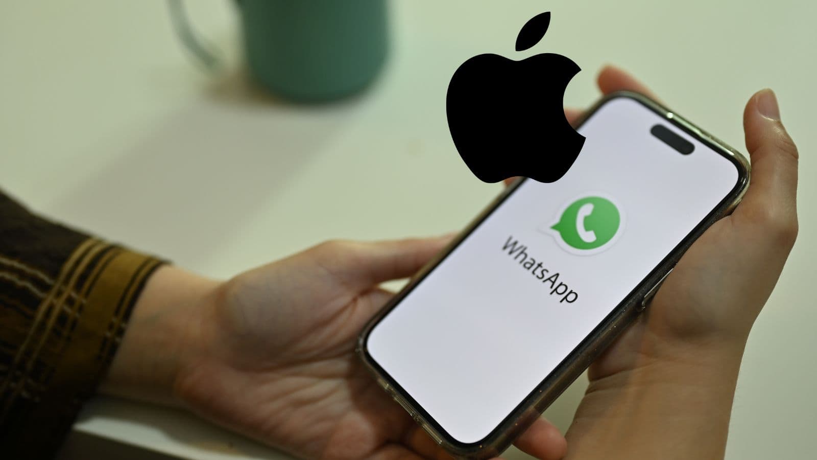 WhatsApp beta: ecco come scegliere la qualità dei file su iPhone