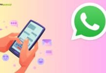 WhatsApp Beta: in arrivo novità per gli stati e le foto profilo