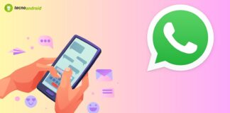 WhatsApp Beta: in arrivo novità per gli stati e le foto profilo