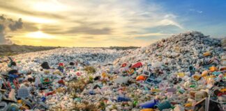 La plastica sembrava una buona idea, ma si è rivelata un nemico più subdolo del previsto