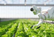 Dalla Finlandia ci arriva la notizia di un robot che riesce ad estirpare un'erbaccia in maniera del tutto autonoma, senza uso di pesticidi.