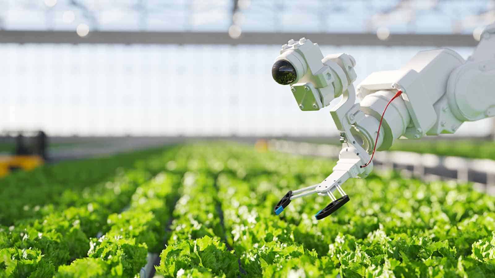 Dalla Finlandia ci arriva la notizia di un robot che riesce ad estirpare un'erbaccia in maniera del tutto autonoma, senza uso di pesticidi.