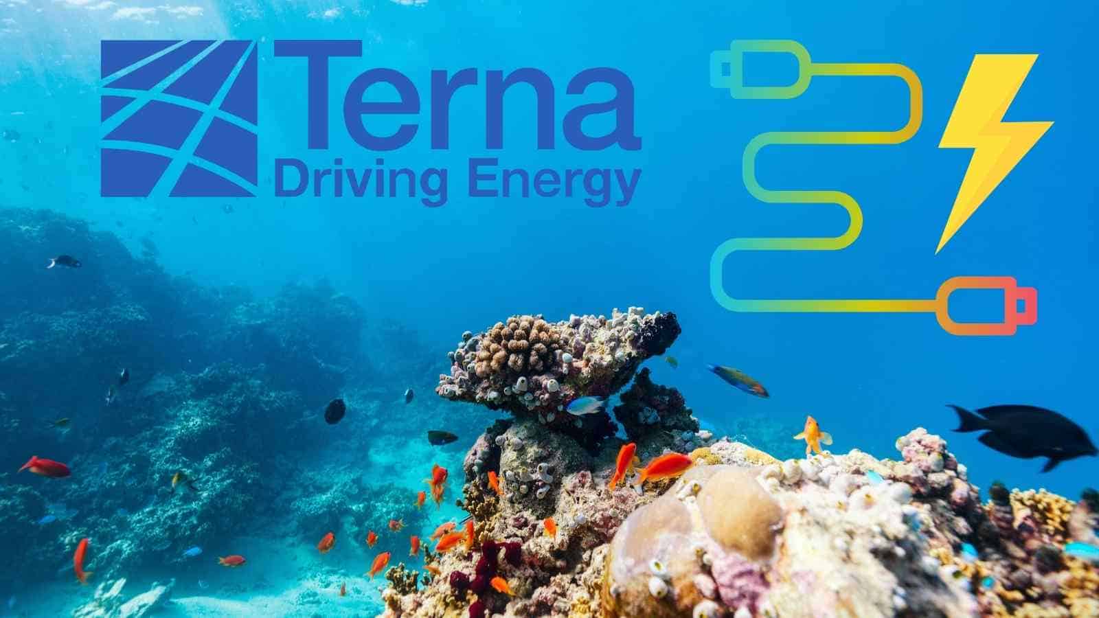 Terna e Wsense insieme per l'ambiente e il monitoraggio dell'energia sottomarina