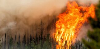 Incendi nei boschi: in Canada la situazione è molto delicata