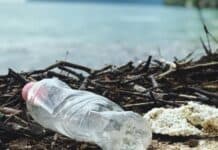 Oppo e Plastic Free domani a Bari per ripulire la spiaggia Pane e Pomodoro