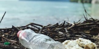 Oppo e Plastic Free domani a Bari per ripulire la spiaggia Pane e Pomodoro