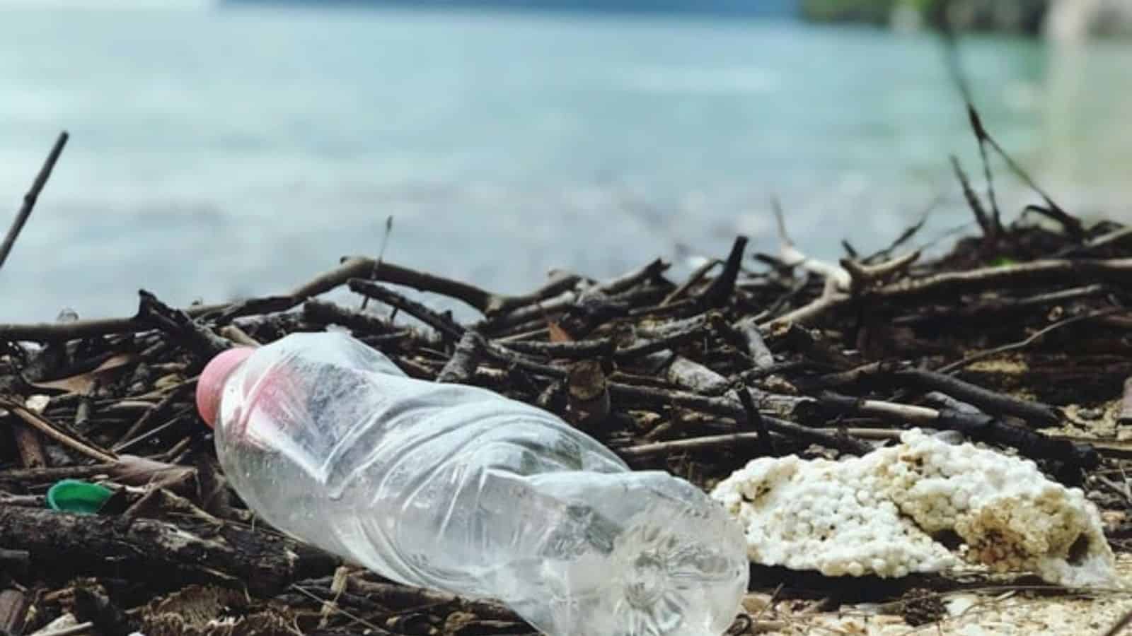 Oppo e Plastic Free domani a Bari per ripulire la spiaggia Pane e Pomodoro