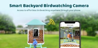 Birdfy, Feeder, AI, IoT