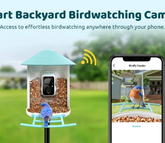 Birdfy, Feeder, AI, IoT