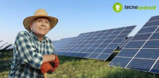 Agrivoltaico: si può coltivare in presenza di pannelli solari?