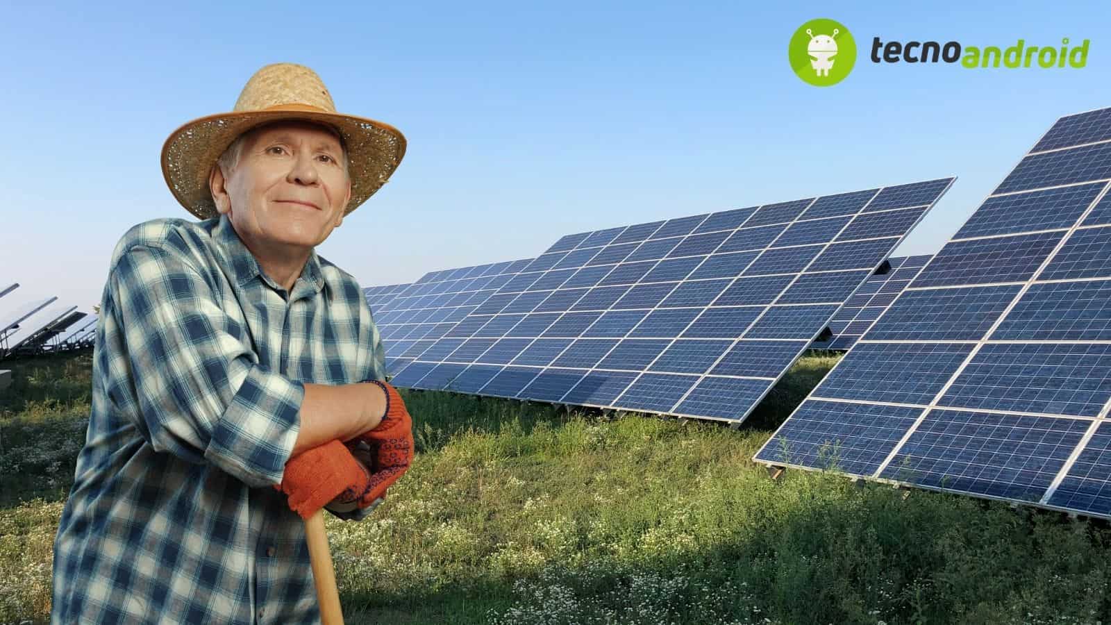 Agrivoltaico: si può coltivare in presenza di pannelli solari?