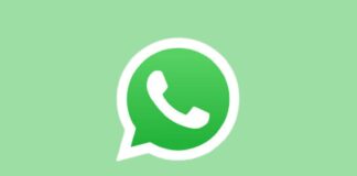 Su WhatsApp condividere file diventa sempre più semplice