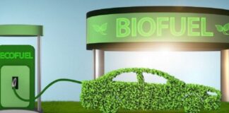 Biocarburante: quali sono i più quotati e come si ottengono