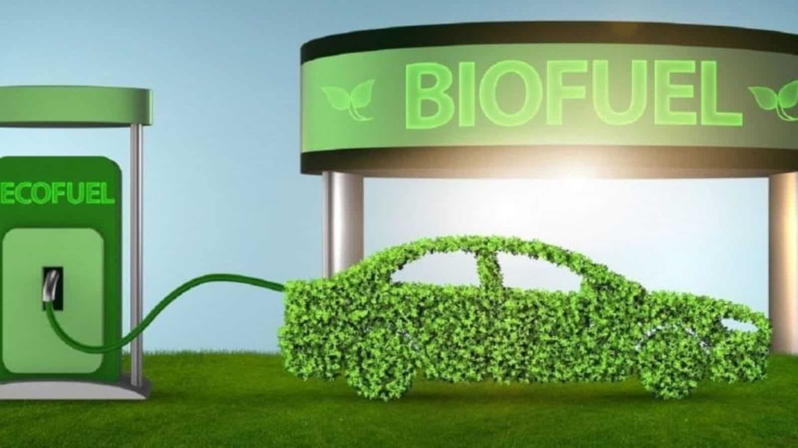 Biocarburante: quali sono i più quotati e come si ottengono