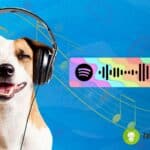 Spotify Code: come condividere musica in un attimo