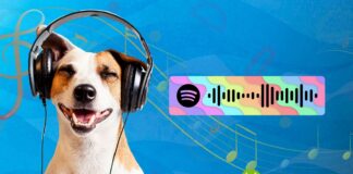 Spotify Code: come condividere musica in un attimo