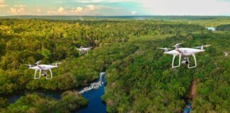 Droni e biodiversità: la rivoluzione della ricerca ambientale