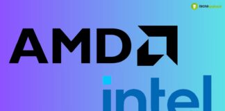 amd