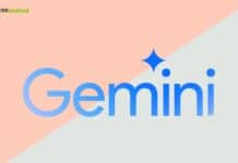 gemini