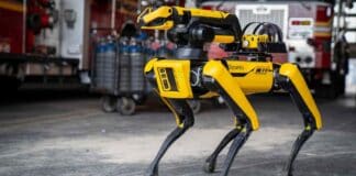 Un nuovo tipo di algoritmo, chiamato EES, sta sconvolgendo in maniera positiva il mondo dell'apprendimento robotico.